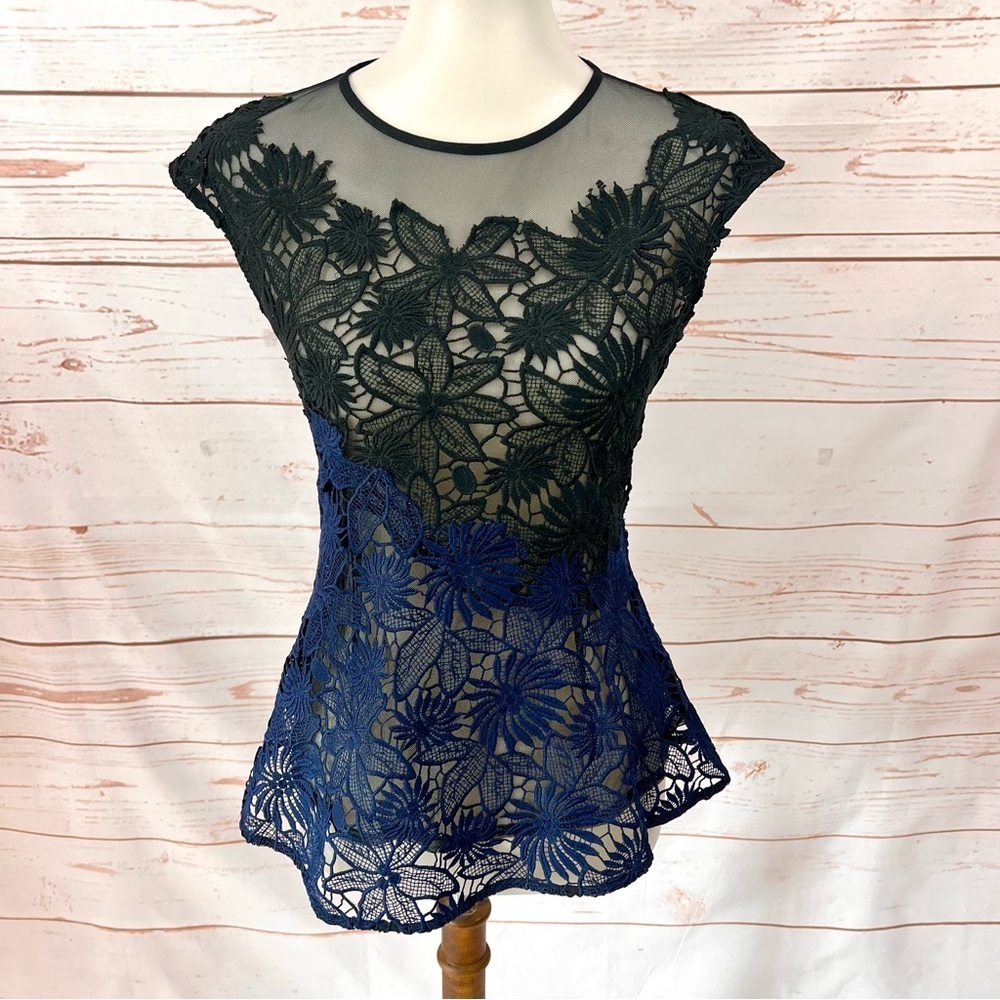 Anthropologie Deletta Guipure Lace Asymmetrical Ombre Sheer Peplum Blouse - Picture 11 of 11